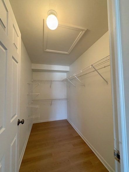 Building Photo - 2611 Cedar Glade Dr