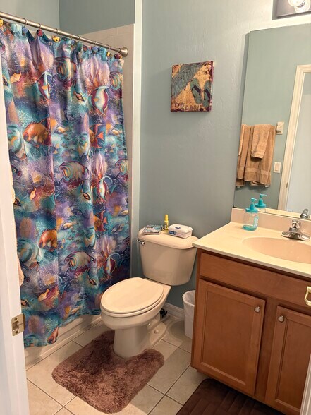 Second Bathroom - 28105 Mandolin Ct