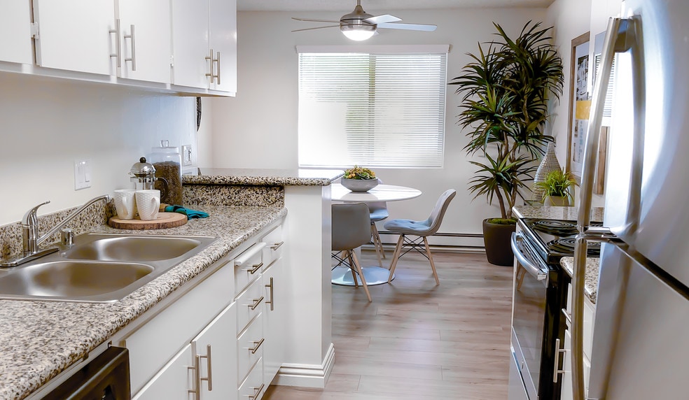 Granite Countertops - Spring Creek Apartments