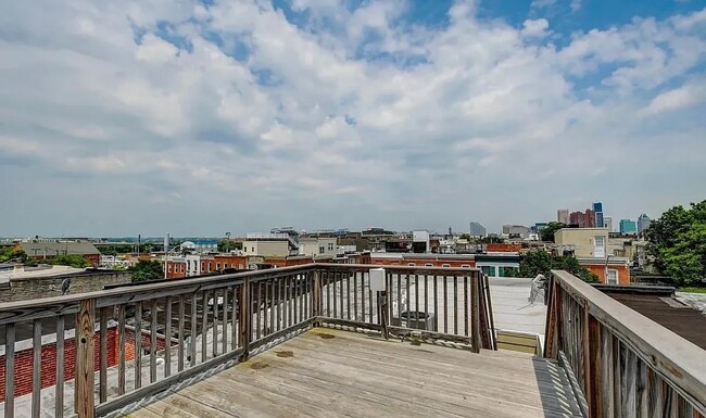 Roof Deck - 113 W Randall St