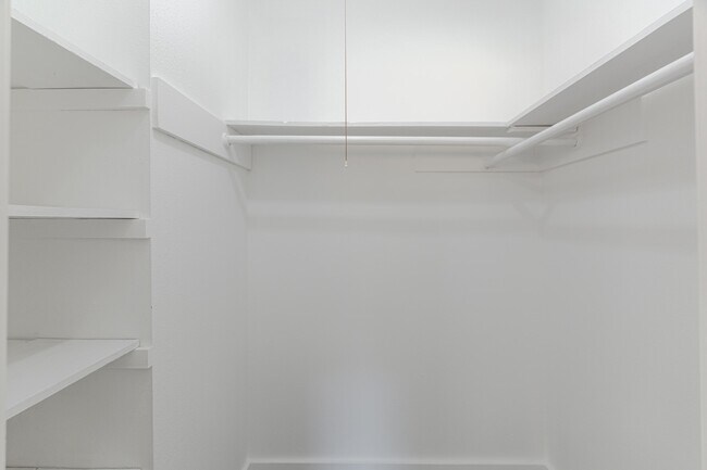 Building Photo - 10126 Pine Moss Dr