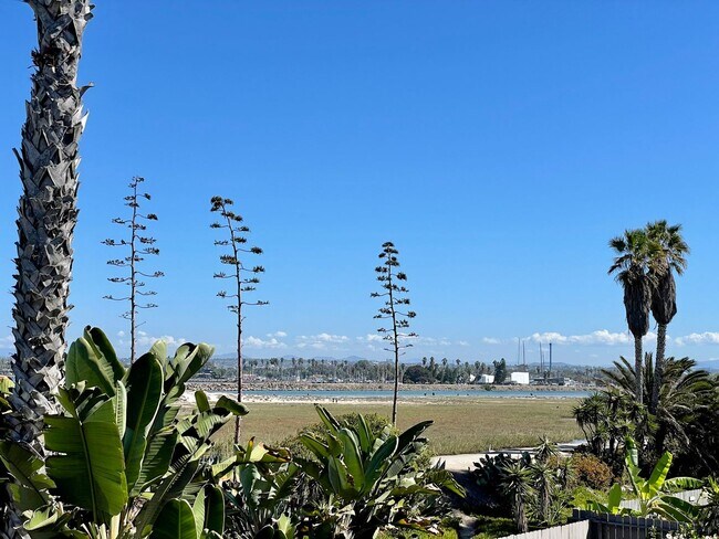 Building Photo - Furnished Beach front House in OB One Month Minimum Rental