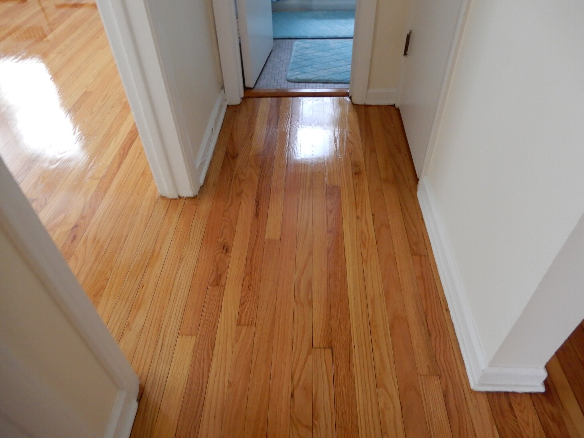 Building Photo - 1508 N Harlem Ave