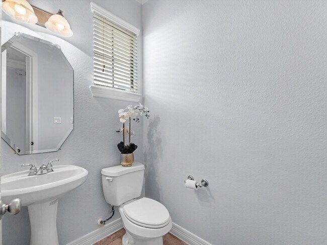 Building Photo - 11643 Royal Oaks View