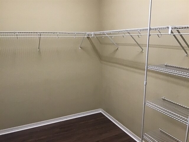 Building Photo - 10016 Caroline Park Dr