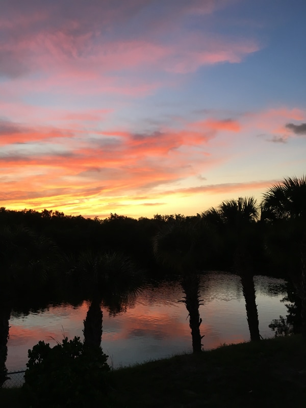 Building Photo - 785 Rabbit Rd