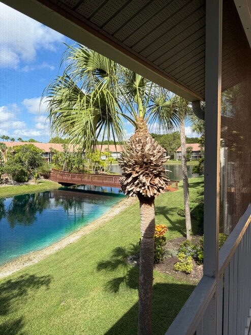 Building Photo - 1635 Windy Pines Dr