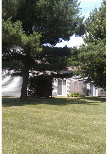 yard - 1334 Spring Village Dr