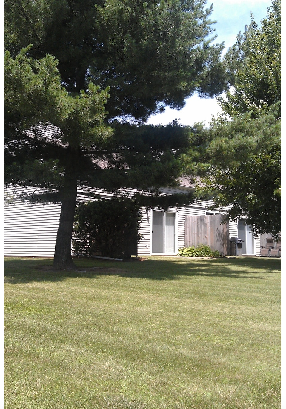 yard - 1334 Spring Village Dr