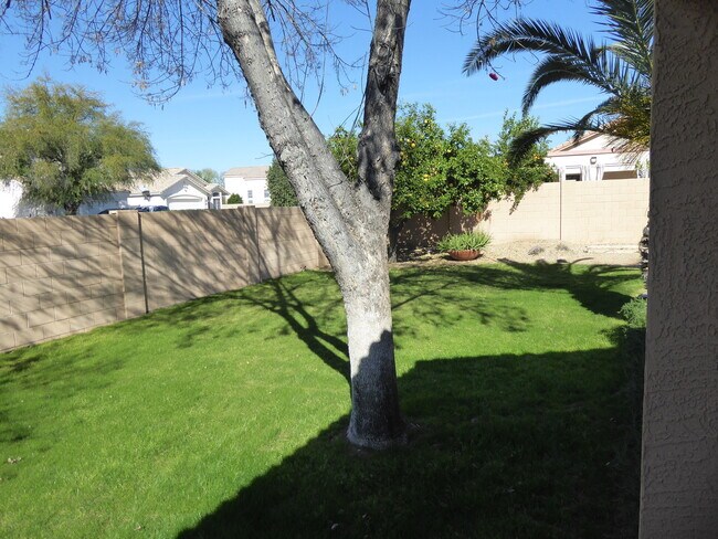 Building Photo - Palm Valley Beauty With A Pool!