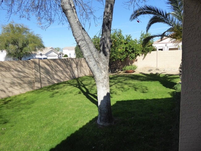 Building Photo - Resort Style Palm Valley Home With A Pool!