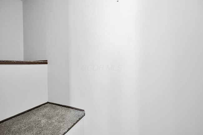 Building Photo - 53 Neil St