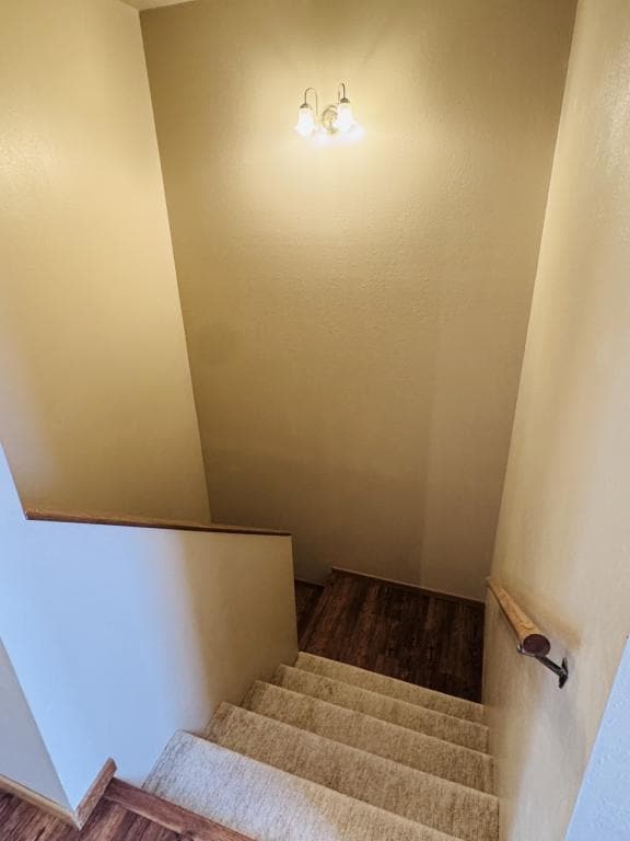 Building Photo - 2433 Sunlight Cir