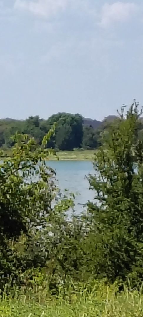 Building Photo - 1504 Waterfall Ln