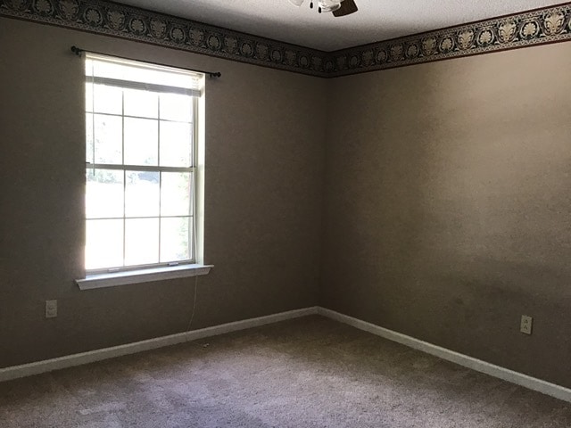 Building Photo - 907 Canyon Ct