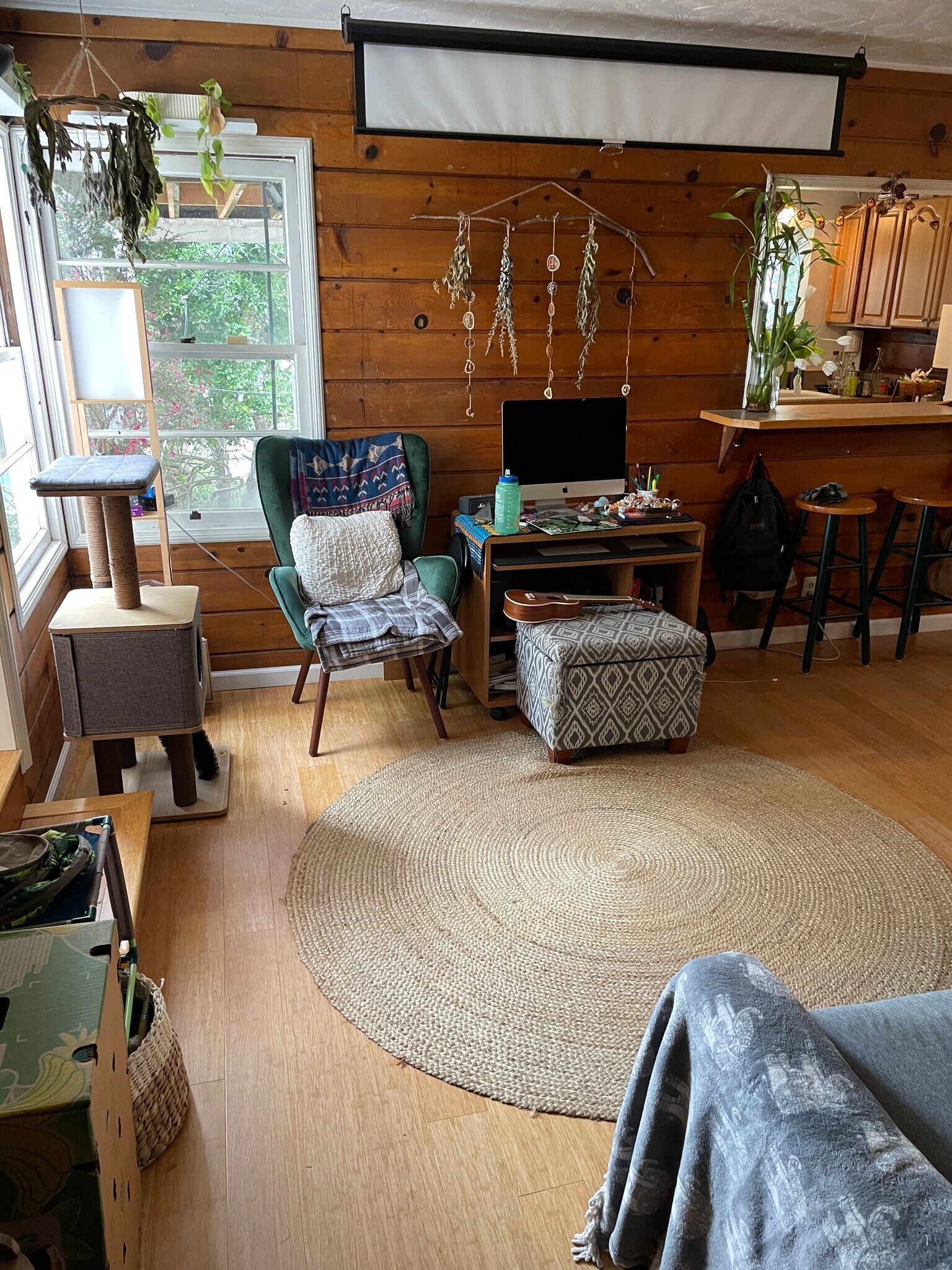 Living Room - 2317 Carquinez Ave