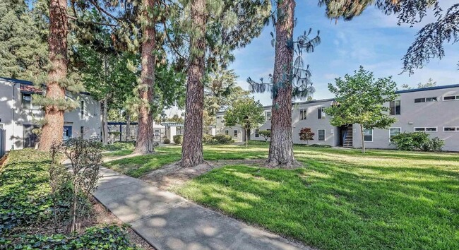 Building Photo - Remodeled 2bd/1ba 2 Story Condo Near Heart...