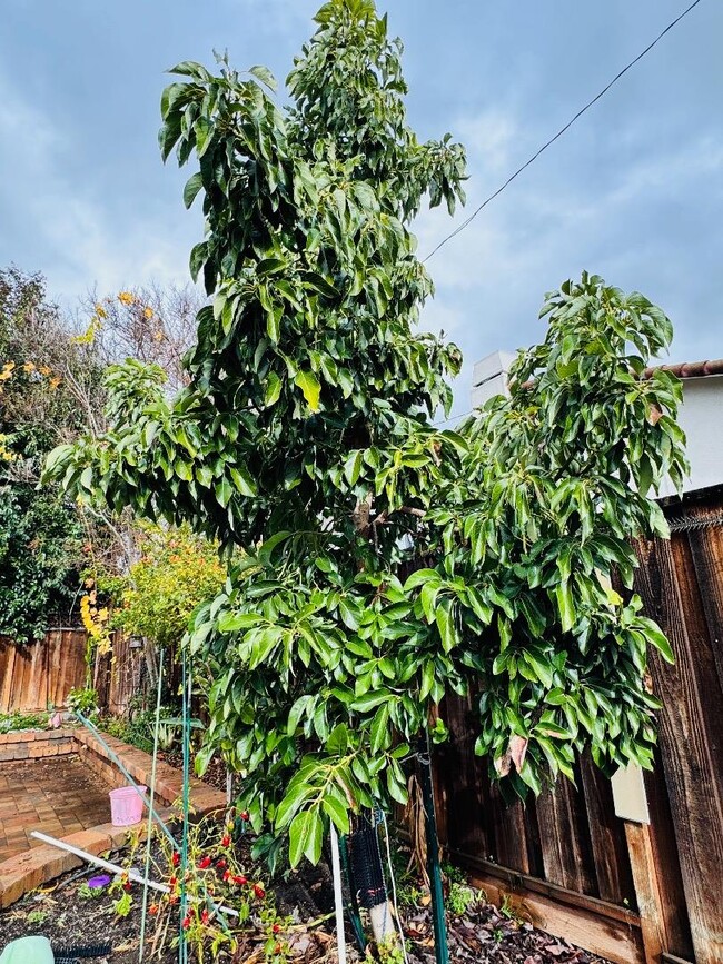 Building Photo - 5846 Pontiac Dr