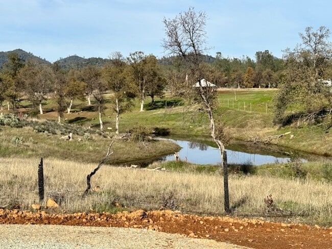 Building Photo - Breathtaking Views – Brand New 2 Bed, 1.5 Bath Home for Rent!  Available Nov 1st | Mt. Bally | Mt...