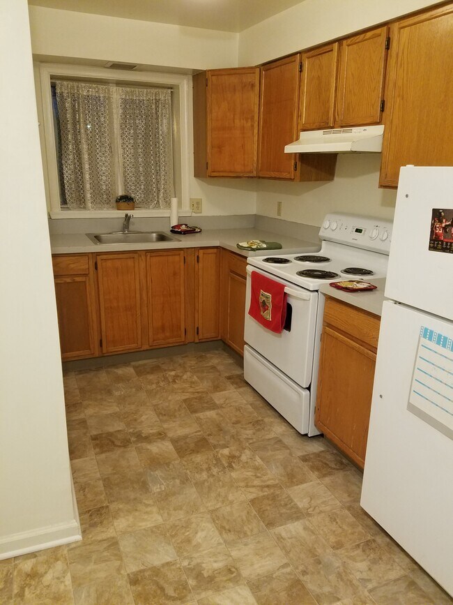 Apt D Kitchen - 82 E Main St