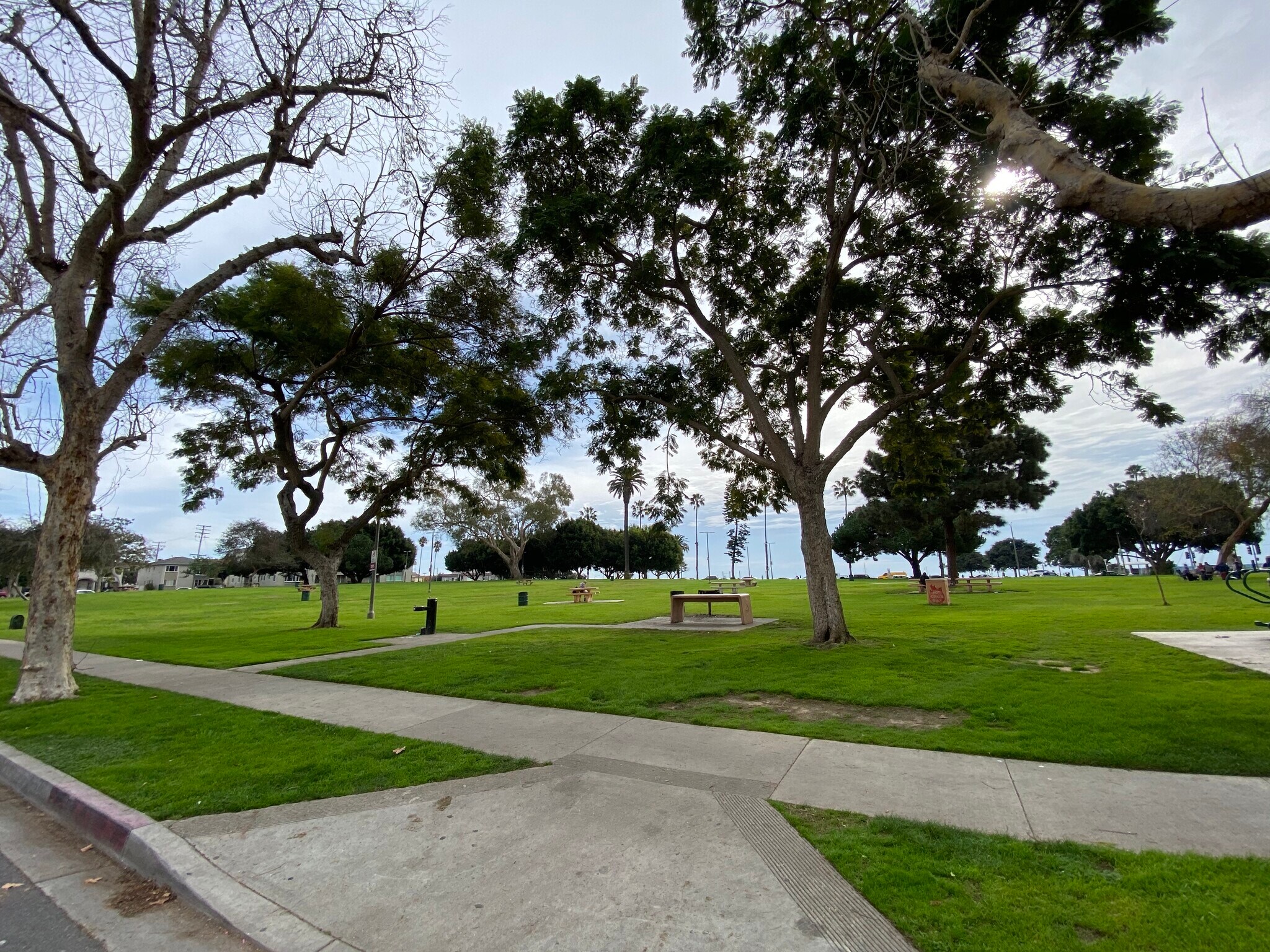 BIXBY PARK - NEXT TO THE HOUSE! - 1803 E Ocean Blvd