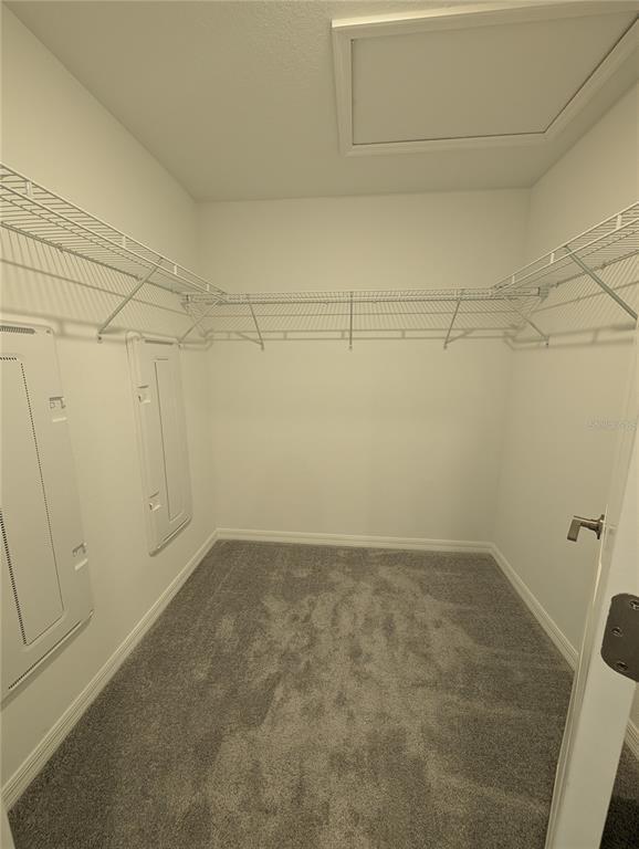 Building Photo - 32021 Spiceberry St