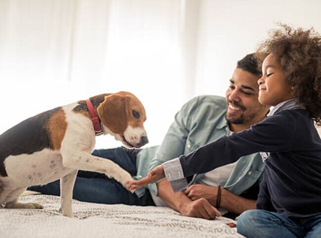 Building Photo - Spacious 3-bedroom, 2.5-bathroom End-unit townhome