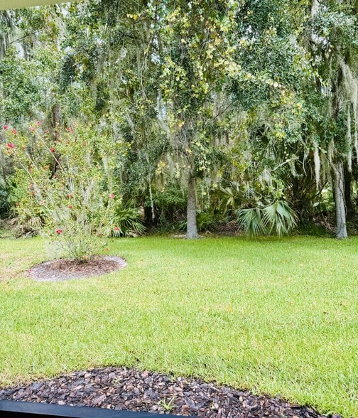 Backyard - 27325 Edenfield Dr