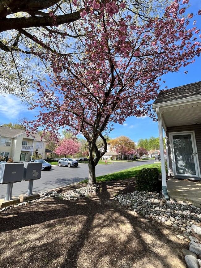 Building Photo - 2 Bed 2 Bath Condo in Council Rock School District