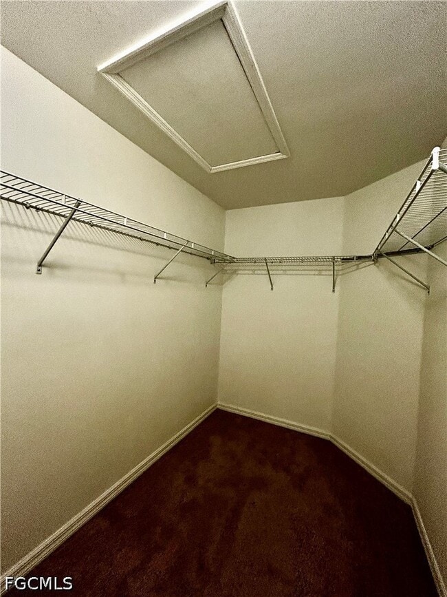 Building Photo - 12117 Palm Cove St