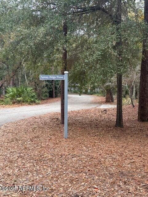 Building Photo - 12238 Spiney Ridge Dr S