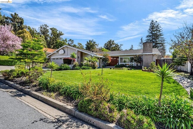 Building Photo - 277 Hidalgo Ct