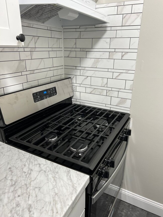 Building Photo - Luxury 1 BD, 1 BA Apartment in Mt Joy!