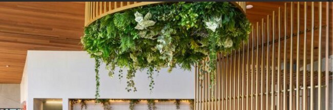 Building Photo - 27241 W Red Willow Ct