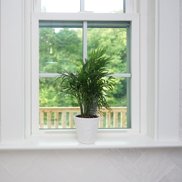 Large windows provide great natural light throughout the house. - 1003 Parkwood Ave
