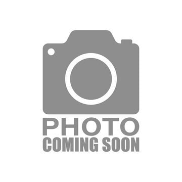 Building Photo - 151 Plum St