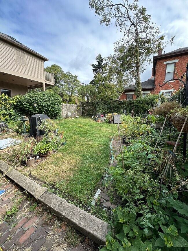 backyard - 560 S 3rd St