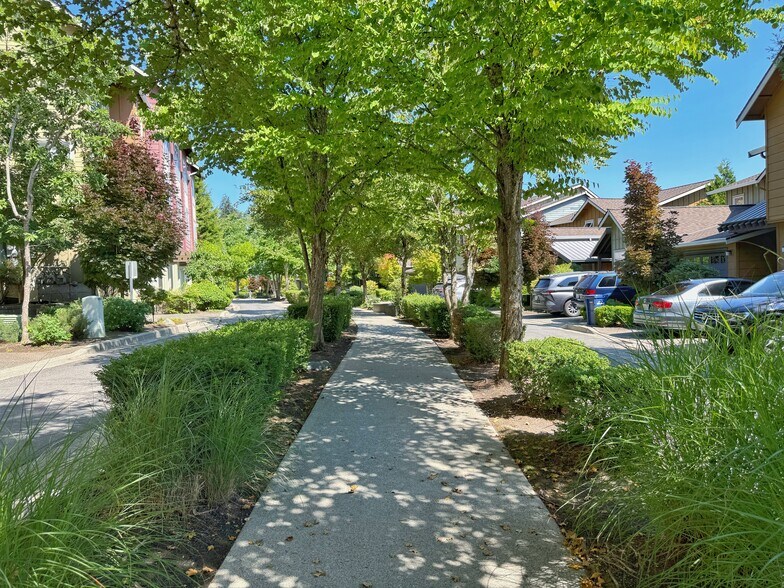 Neighborhood walk - 79 Sky Ridge Rd NW