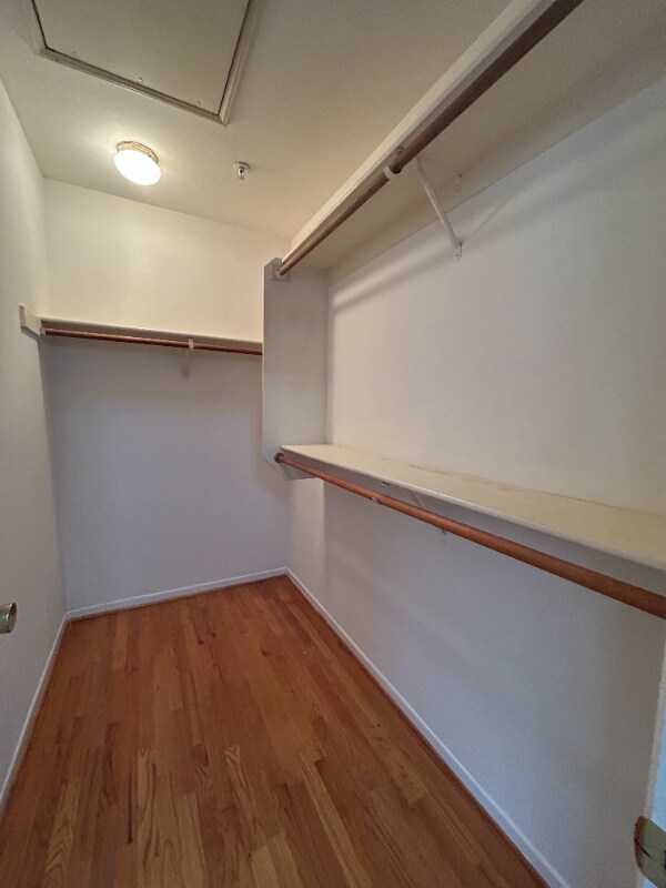 Building Photo - 3305 Jurich Pl