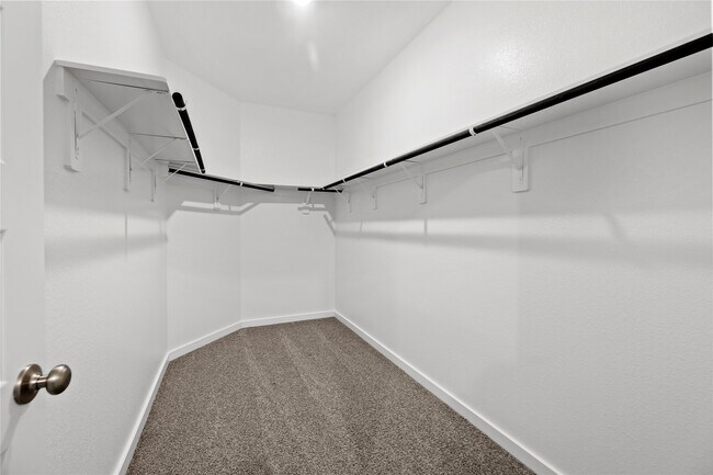 Building Photo - 6338 Brazos Trl Dr