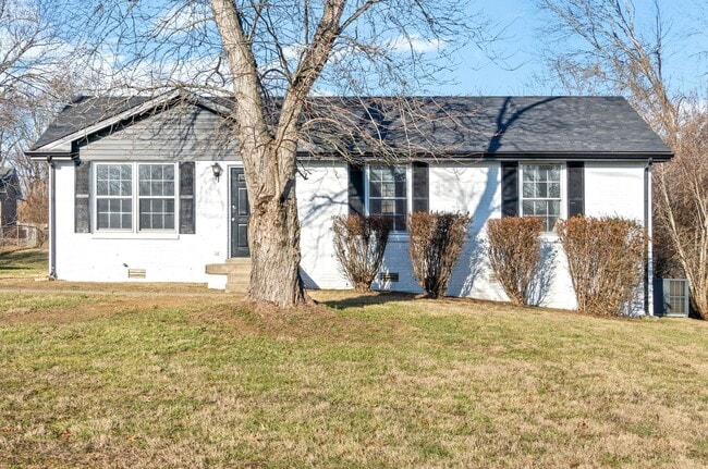 Primary Photo - 3 Bedroom Dog Friendly Home For Rent!