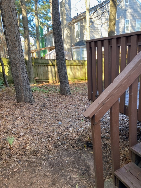 Building Photo - 3679 Regency Park Dr