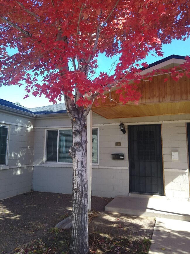 Building Photo - Mountain View 2 Bedroom 1 Bath Duplex on a Hill