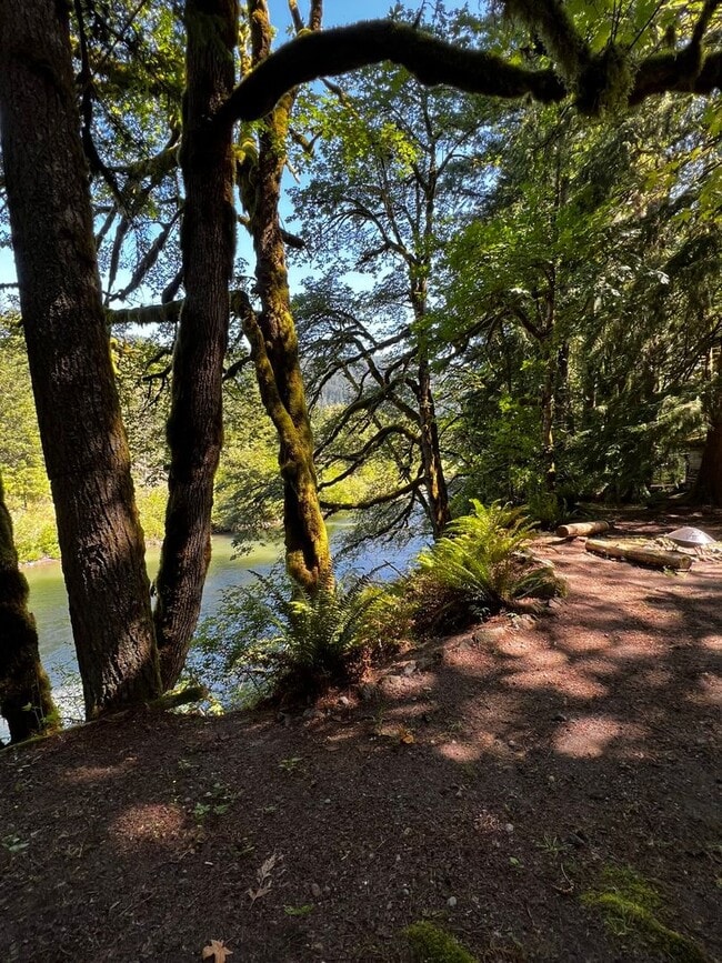 Building Photo - River Rapids