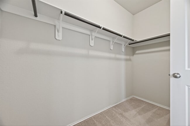 Building Photo - 2519 Northern Great White Ct