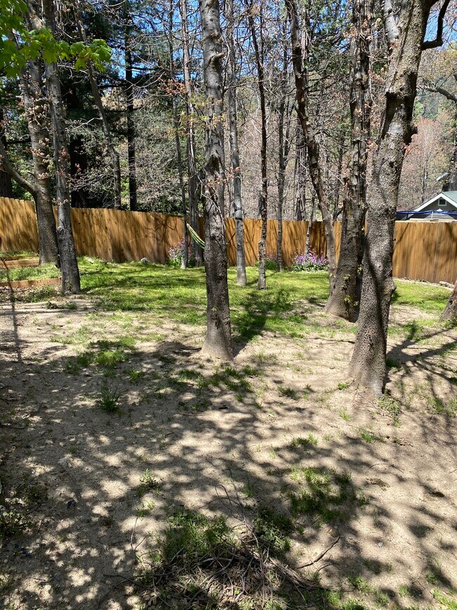 Building Photo - 309 Forest Cir