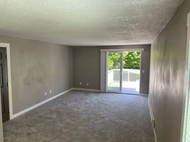 Building Photo - Brand new remodel - top floor 2 bedroom wi...