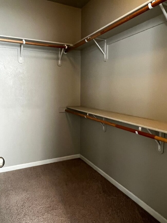 Building Photo - 790 Sarcinella Ct