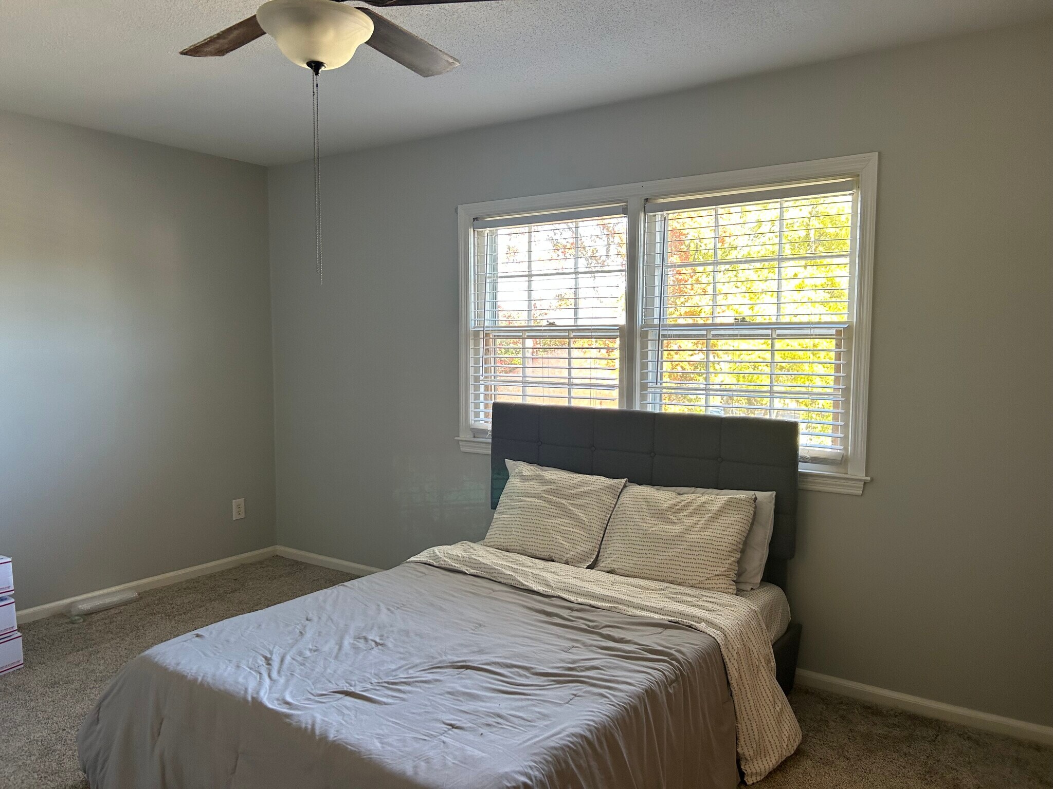 Spacious master bedroom - 1825 Johnson St