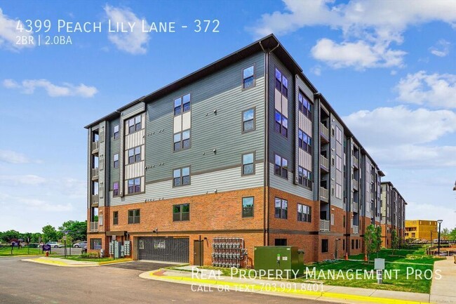 Building Photo - 4399 Peach Lily Ln
